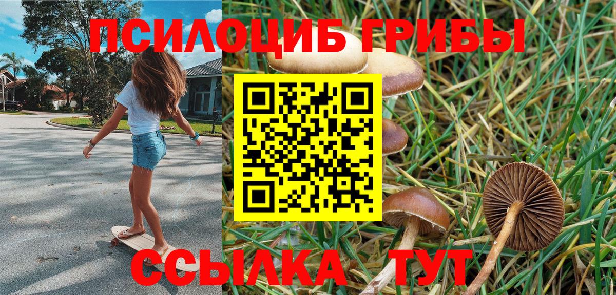 Галлюциногенные грибы Psilocybe Бирск